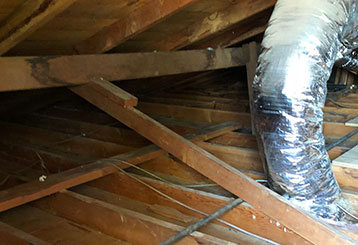 Crawl Space Cleaning | Attic Cleaning Hollywood, CA